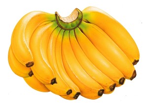 yellow-bananas-wallpapers-desktop