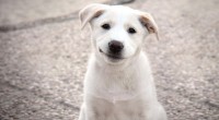 Să nu lăsăm timpul mohorât de afară să ne indispună şi să urmărim mai bine un videoclip amuzant!