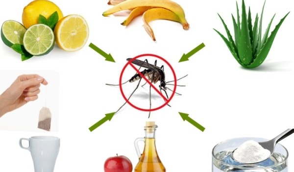 Cu toţii ştim ce disconfort ne cauzează insuportabilii ţânţari! Următoarele remedii sunt simple, rapide, naturale şi eficiente, eliminând pe loc senzaţia de mâncărime.