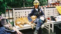 Vi-l prezint pe Bretagne, un câine erou care a participat la operațiunile de salvare de la World Trade Center.