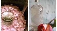 Iată cât de ușor îți poți prepara apa de trandafiri, chiar din confortul casei tale! Avantajul acesteia este că nu conține chimicale!